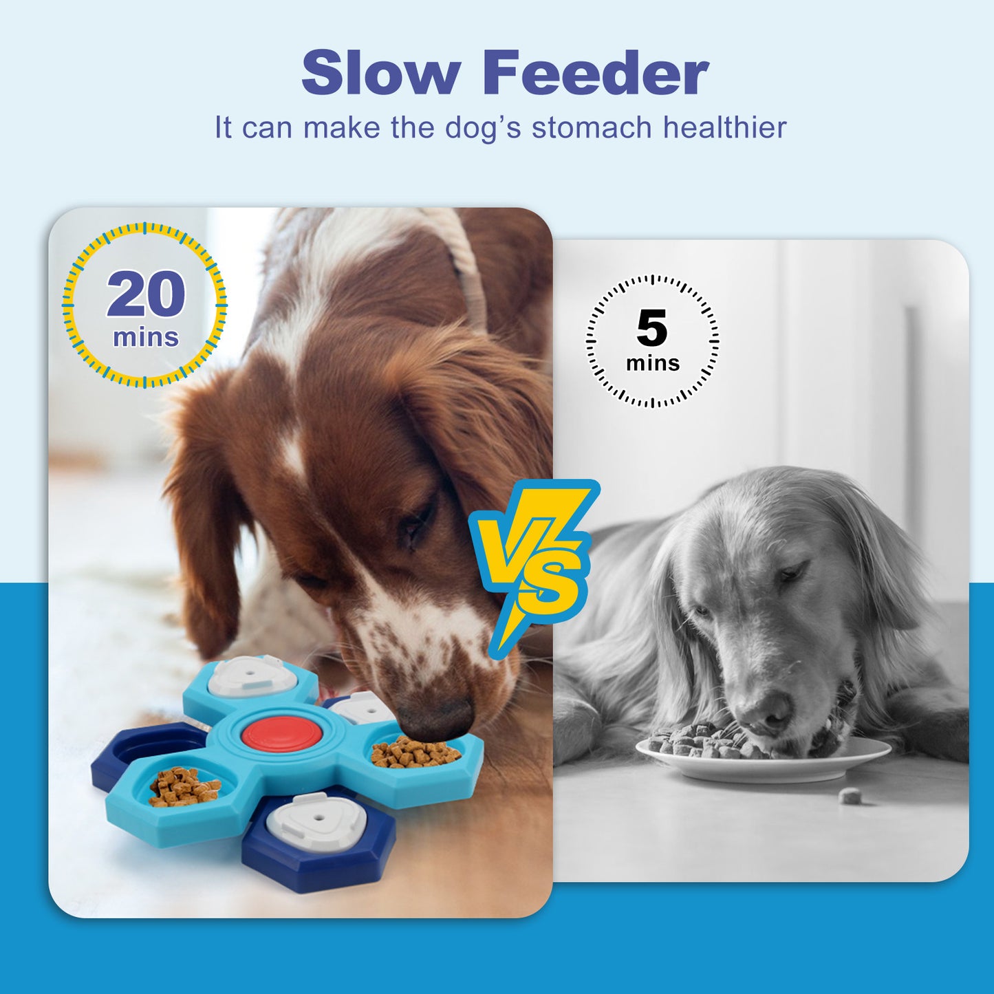 4-Layer Puzzle Slow Feeder Bowl for Dogs