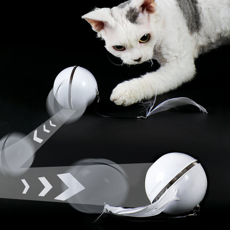Rechargeable Automatic Cat Toy Ball with Replaceable Feather