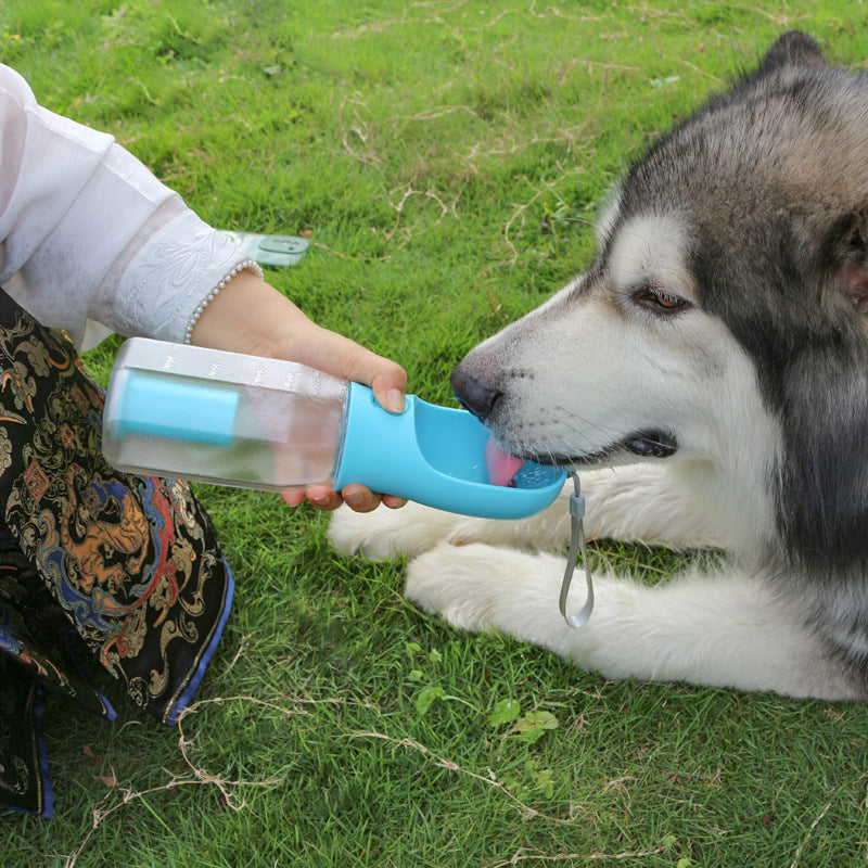 3-in-1 Dog Travel Bottle